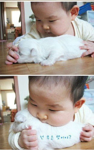005-babyanddog1