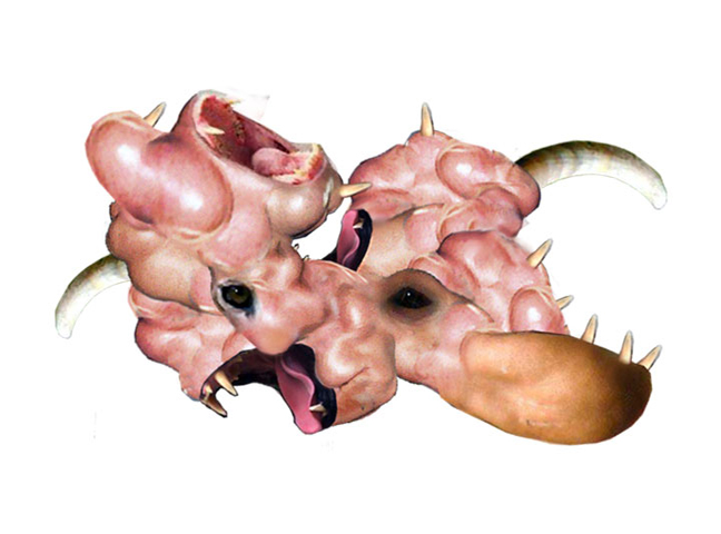 040